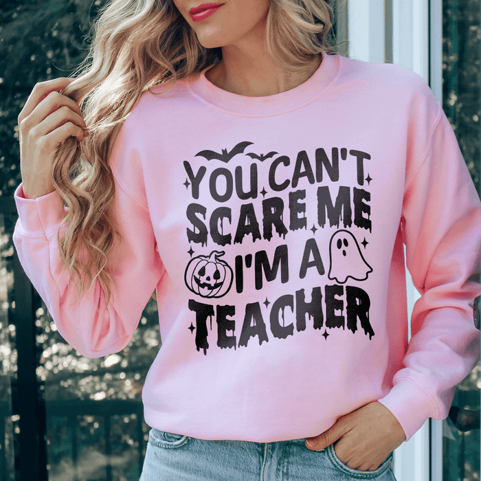 You Cant Scare Me I'm A Teacher
