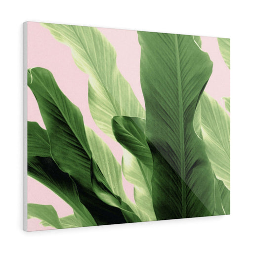 BANANA LEAVES JUNGLE