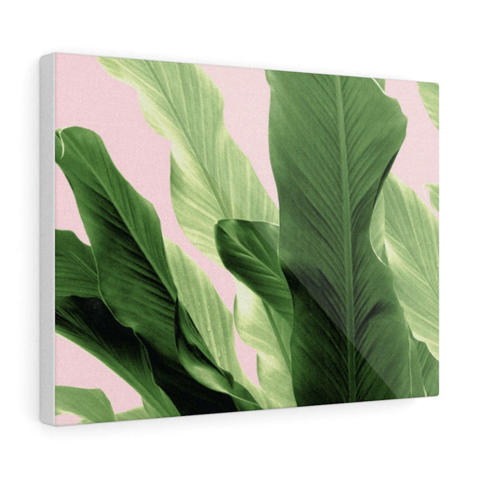 BANANA LEAVES JUNGLE
