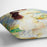 A Bather by Renoir Cushion