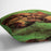 Crab on Its Back by Van Gogh Cushion