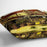 Fish-Drying Barn by Van Gogh Cushion