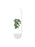 Joyful Green Skateboard