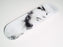 Incomplete Skateboard