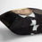 Portrait of the artists father Leonard Renoir by Renoir Cushion