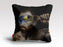 BRUSH STROKES Cushion/Pillow