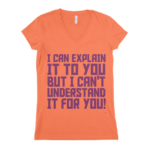 I Can Ecplain To You Women T-shirt