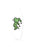 Joyful Green Surfboard