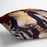 The Box by Renoir Cushion