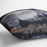 The gare St Lazare 2 by Monet Cushion