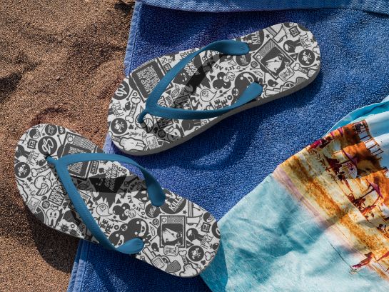 Cin Flip Flops