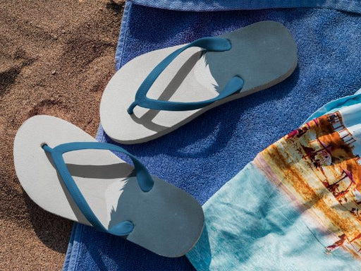 Himalaya Flip Flops