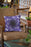 Miss Sakemoto Cushion/Pillow