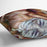 Woman at the Well by Renoir Cushion