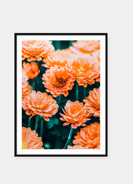 LUVD Framed Art Prints Bloom  Frame
