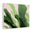 BANANA LEAVES JUNGLE