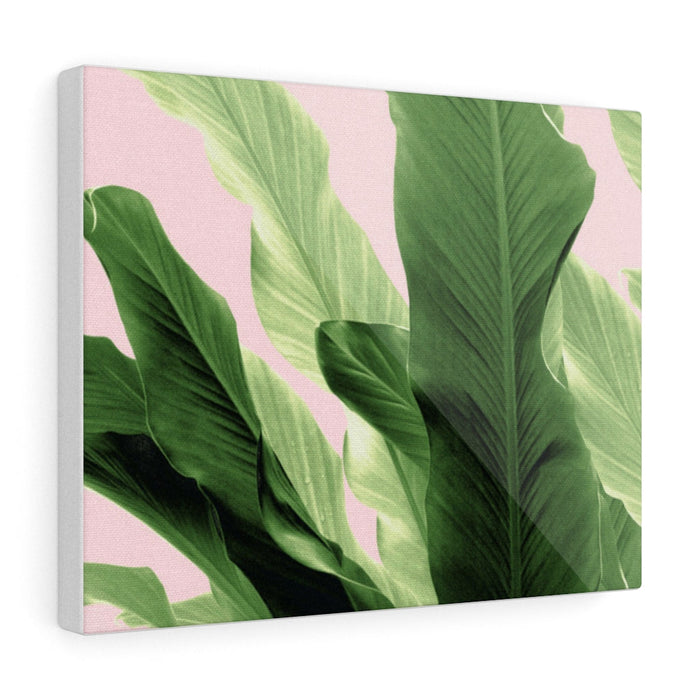 BANANA LEAVES JUNGLE