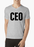 Virgin Teez T-shirt SMALL / Black CEO V-Neck T-shirt