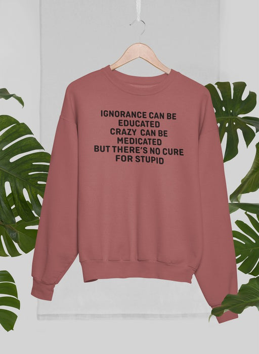 No Cure For Stupid Sweat Shirt