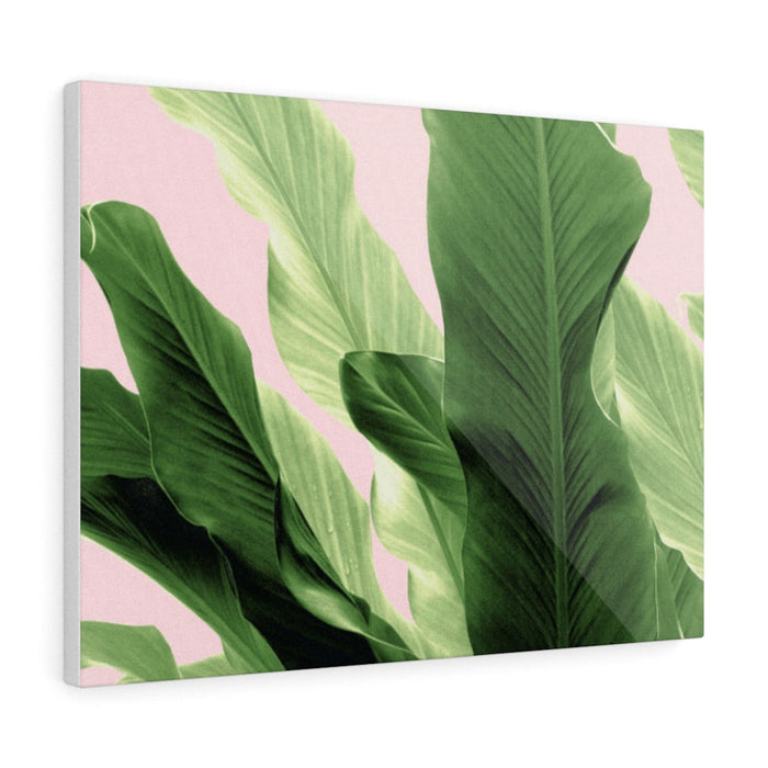 BANANA LEAVES JUNGLE