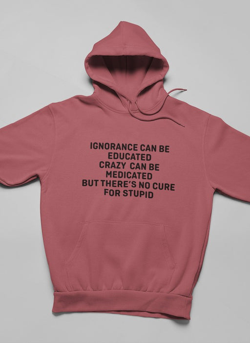 No Cure For Stupid Hoodie