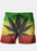 Ayaz Ahmed Shorts Green yellow and red color Cannabis Marijuana flag Shorts