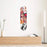 Womaniser Skateboard