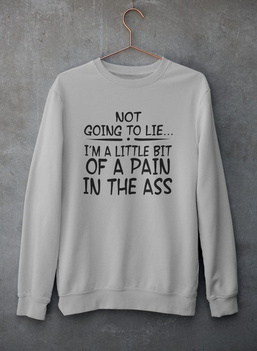 Not Going To Lie... Im A Little Bit Of A Pain In The Ass Sweat Shirt
