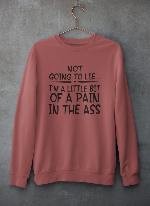 Not Going To Lie... Im A Little Bit Of A Pain In The Ass Sweat Shirt