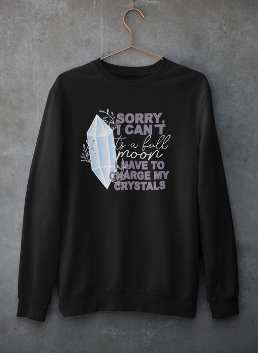 Sorry i cant Sweat Shirt
