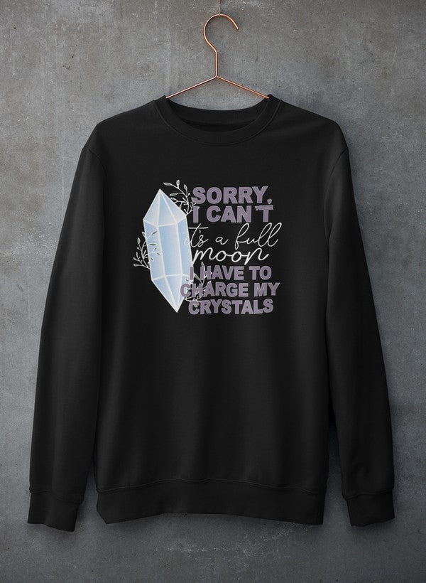 Sorry i cant Sweat Shirt