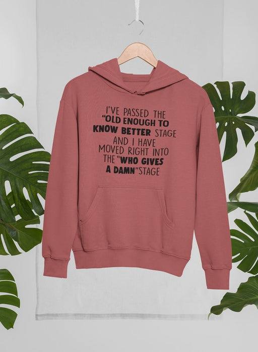 Old Enough To Know Better Hoodie
