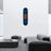 Dollar Blue Skateboard