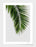 LUVD Framed Art Prints Palm Leaf I Frame