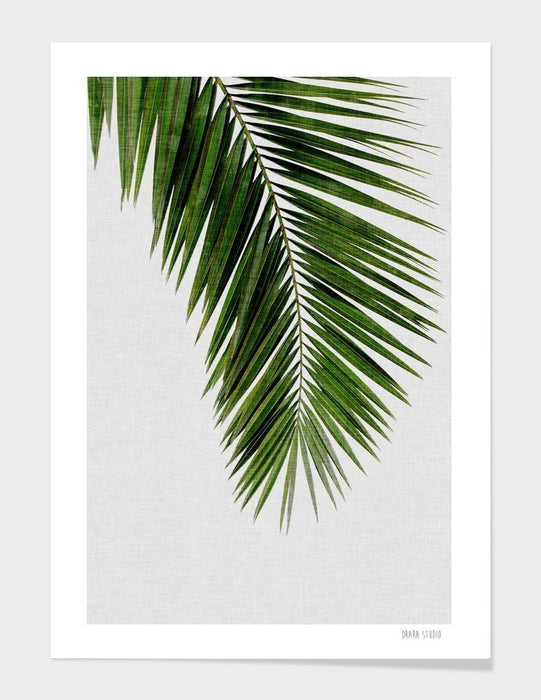 LUVD Framed Art Prints Palm Leaf I Frame