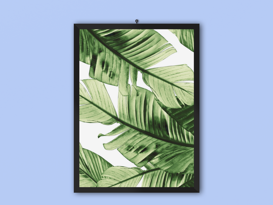 Agellig Frame