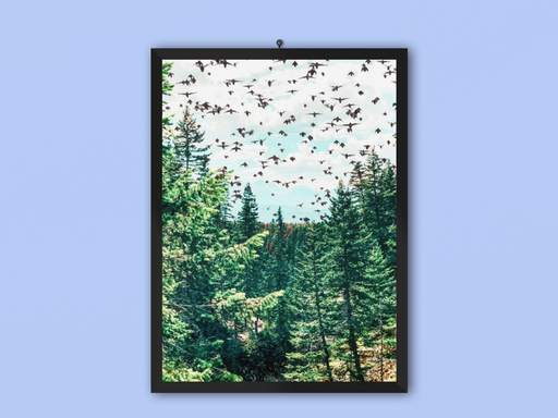 Agena Frame