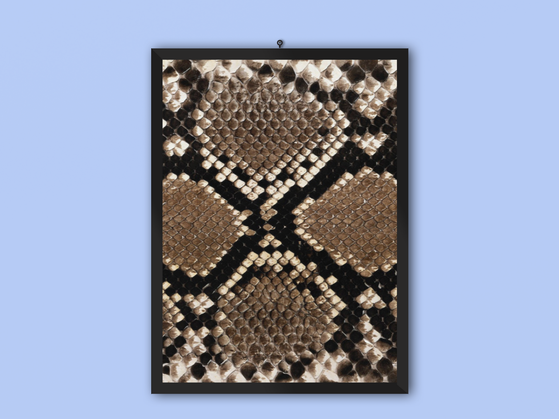 Alpine Snake Frame