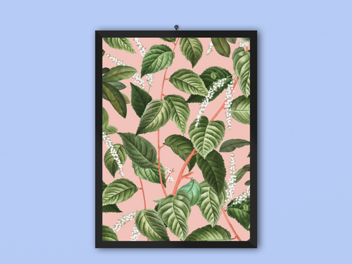 Aourantel Frame