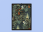 Azet Frame