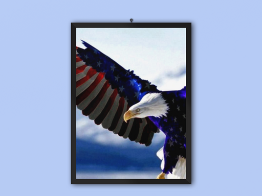 Fly High Frame