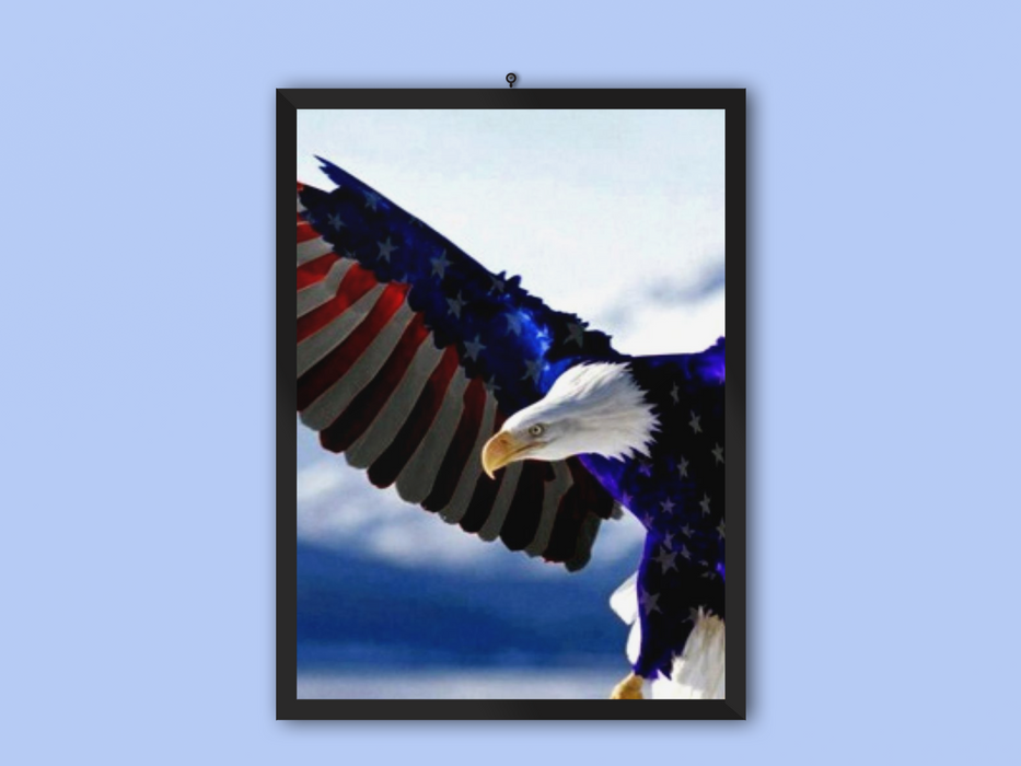 Fly High Frame