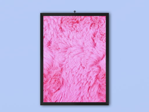 Fremryrron Pink Frame