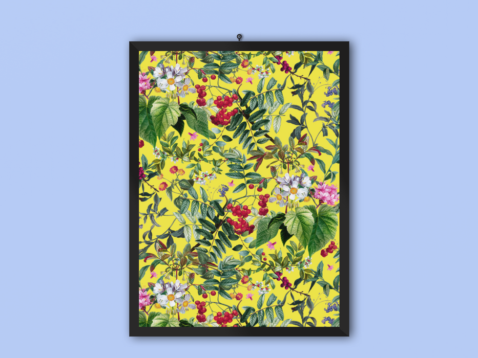 Galliel Frame