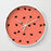 Dany Designs Wall Clock SCATTERED WATERMELON Wall clock