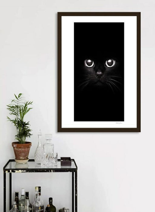 LUVD Framed Art Prints The Black Cat  Frame